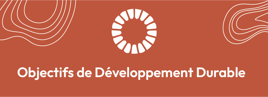 Objectifs de développement durable