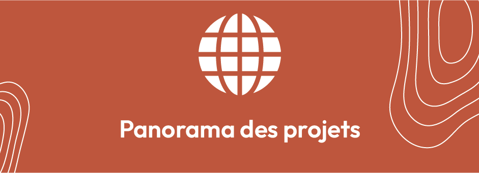 Panorama des projets