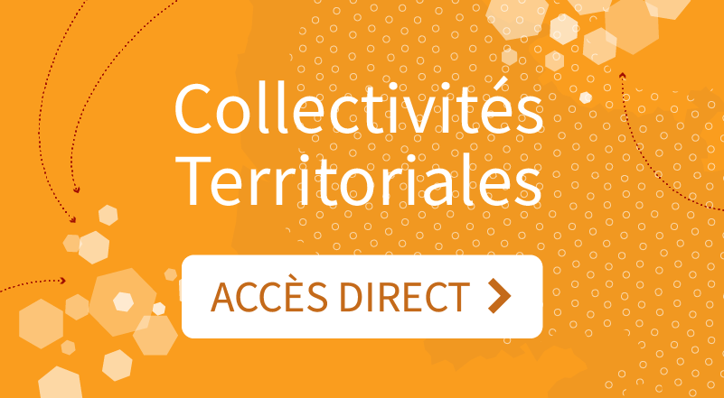 Collectivités territoriales