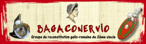 Bagaconervio