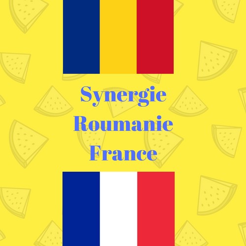 Synergie Roumanie France