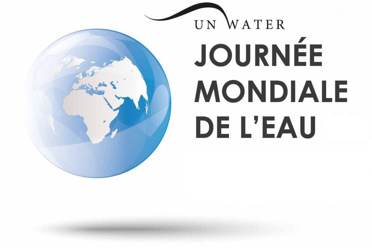 Journée mondiale de l'eau 2021 Lianes coopération