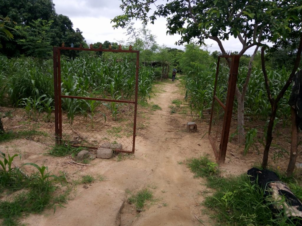 Peuples solidaires, agriculture, burkina Faso, microprojet