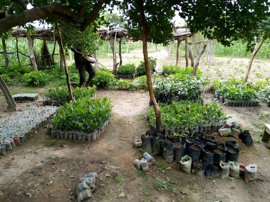Peuples solidaires, agriculture, burkina Faso, microprojet