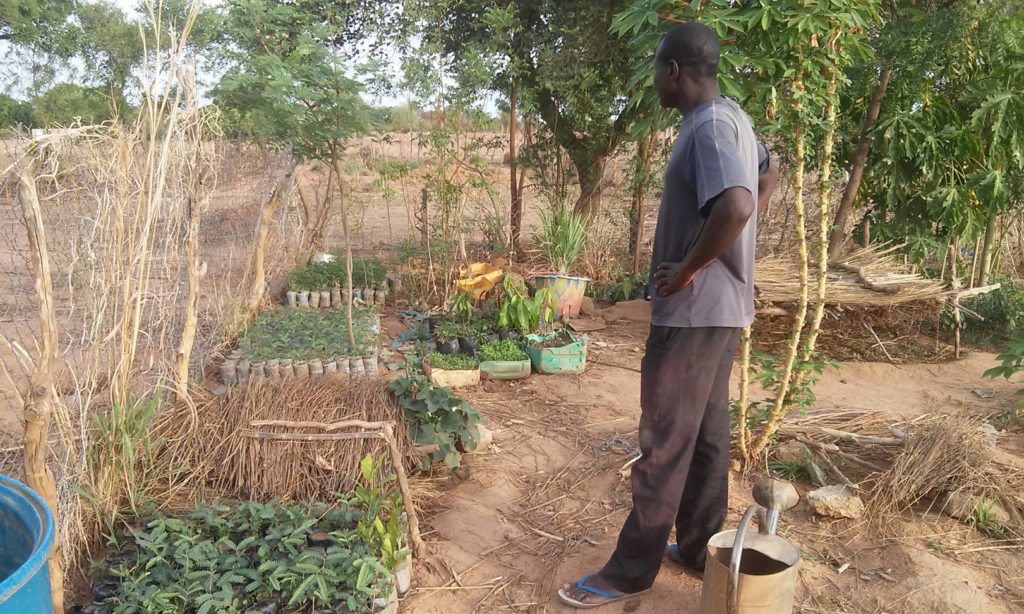 Peuples solidaires, agriculture, burkina Faso, microprojet