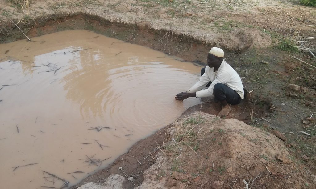 Peuples solidaires, agriculture, burkina Faso, microprojet