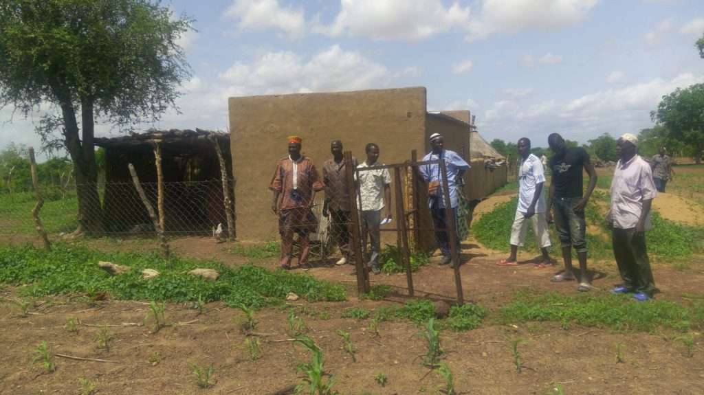 Peuples solidaires, agriculture, burkina Faso, microprojet